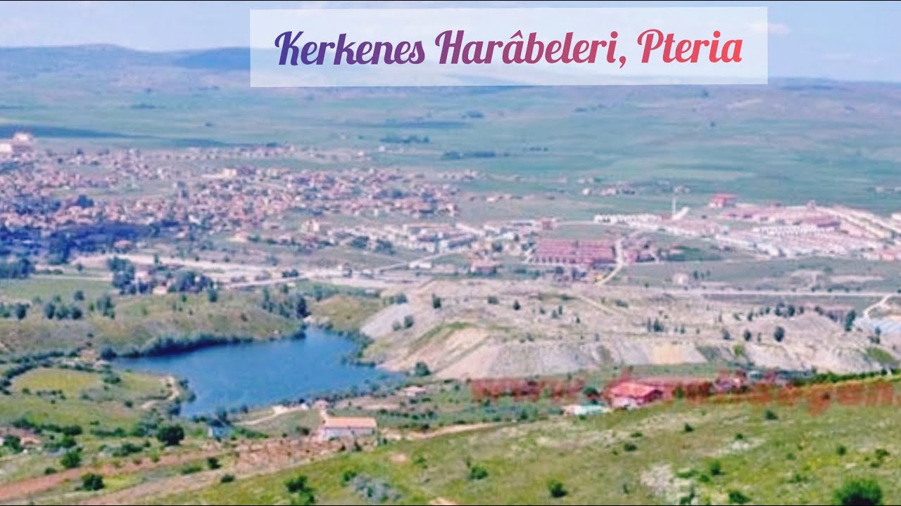 KERKENES HARÂBELERİ, PTERIA