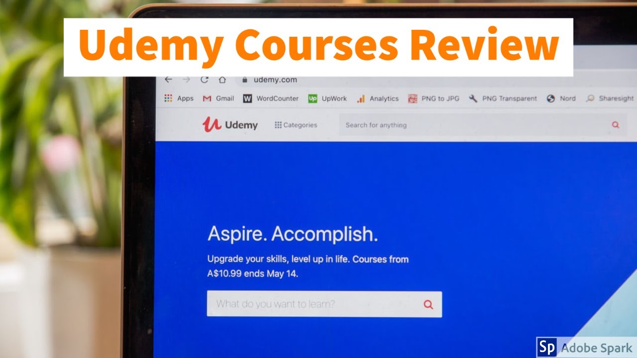 Why Udemy Courses Are Not Good For Learning Business YouTube why-udemy-courses-are-not-good-for-learning-business-youtube