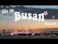 LIFE IN BUSAN KOREA VLOG 🌸 | grocery shopping, korean starbucks, korean bbq, being a tourist