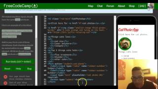 Famous Create a Set of Checkboxes, freeCodeCamp review html & css, lesson 33 Wealth