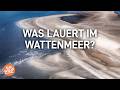Was Lauert Im Watt Die Verborgene Welt Der Nordsee Doku Was Lauert Im Watt Die Verborgene Welt Der Nordsee Doku