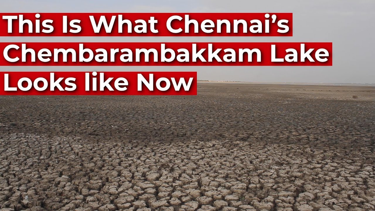 This Is What Chennai’s Chembarambakkam Lake Looks like Now