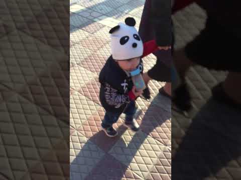 ŞİRİN PANDA😍🐼