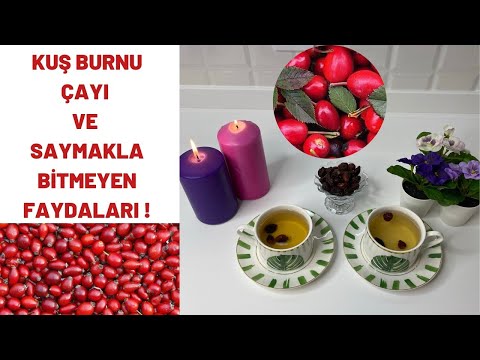 You will be surprised! Countless benefits of rose hips! Making rosehip tea!