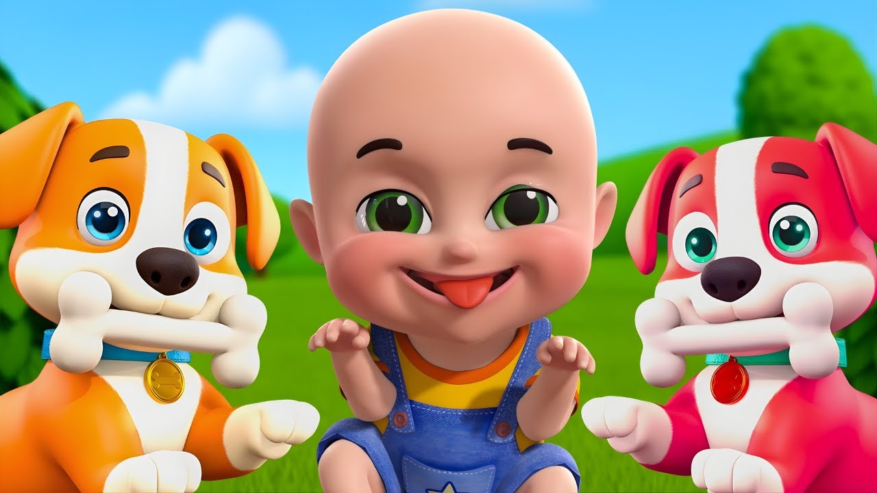 Baby Bingo Song New Compilation | Baby Kittens Song | Nursery Rhymes and Kids Songs | Bebe Bobo