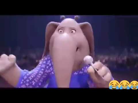     حبينو تاشلحيت مصطفى الصغير جديد