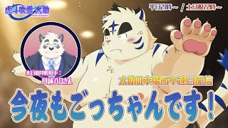 今夜もごっちゃんです！太助の本場所中連日配信【十一月場所十一日目】