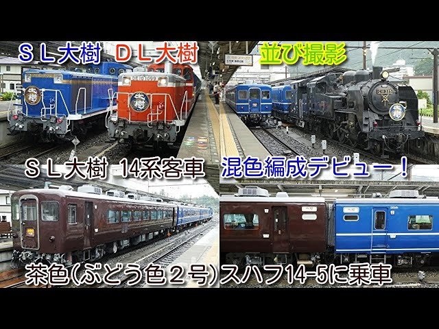 TOMIX SL大樹ぶどう色14系客車