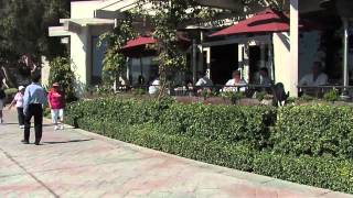 Aya Healthcare Reviews - Traveling Nursing in San Diego