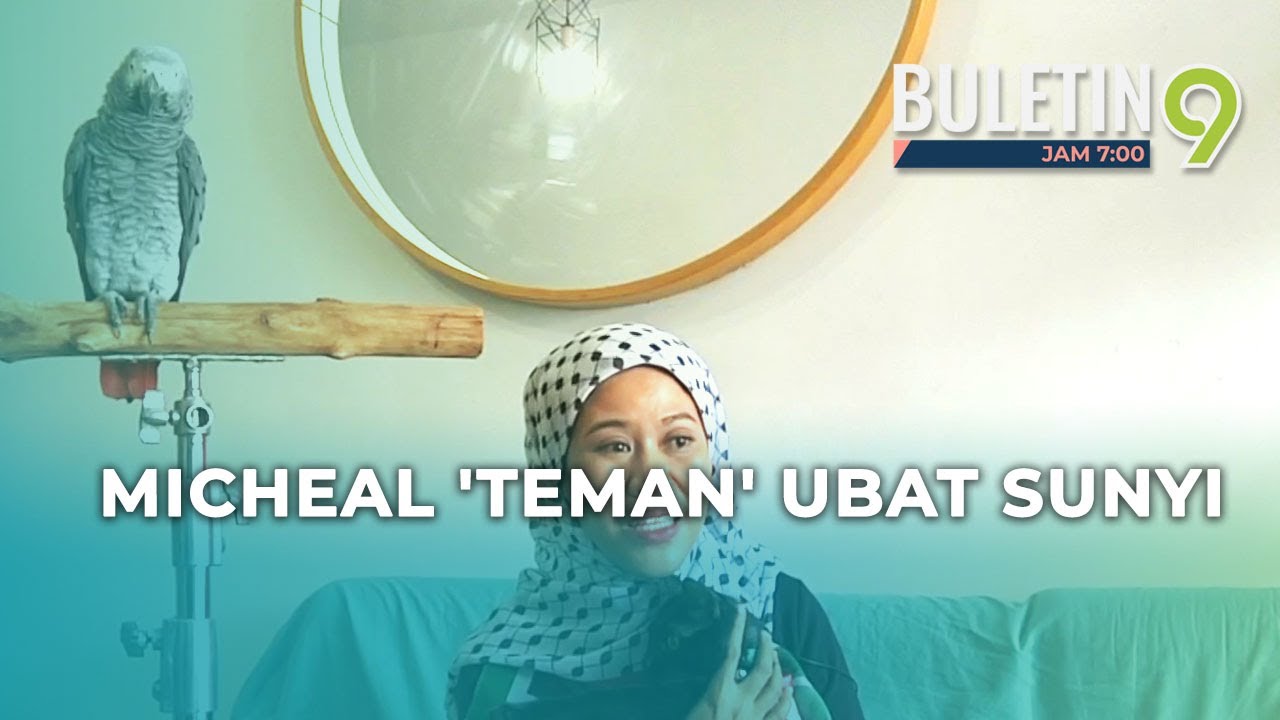 Burung Kakak Tua Mengubat Kesunyian