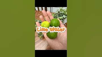 Why You Should Drink Lime Water (Benefits of Lime Water) #drink #hydration  #lime