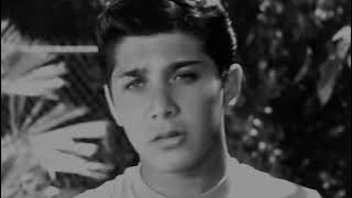 Love Me Warm and Tender  PAUL ANKA  (with lyrics)