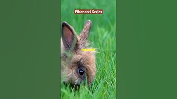 Fibonacci Series #fibonacci  #fibonacciseries  #mathhistory #facts #historyofmathematics  #math