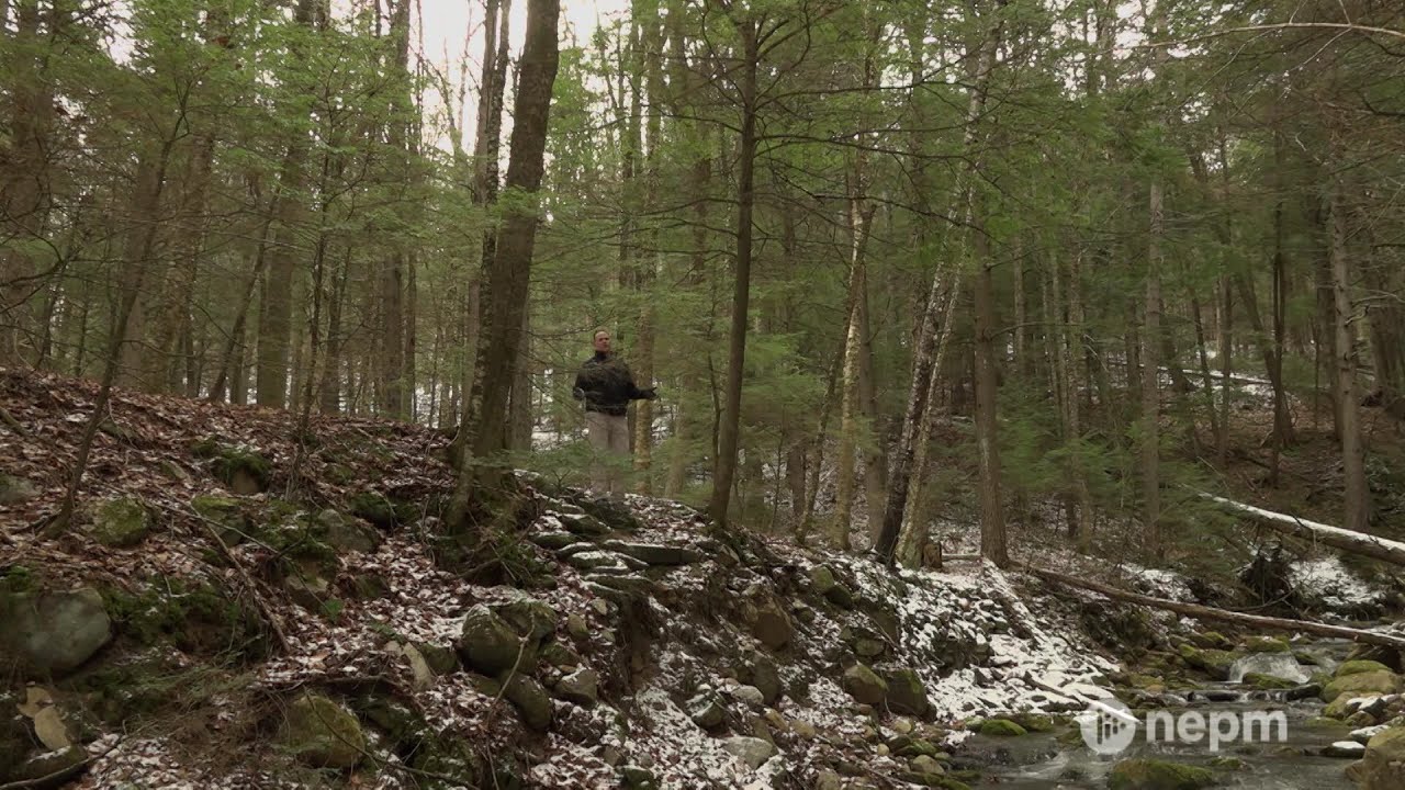 Windsor State Forest Will Reopen in Spring 2021 | Connecting Point | Jan. 15, 2021