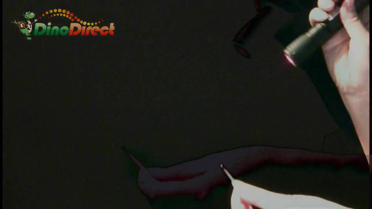 High Quality 200mW 650nm Red Laser Pointer