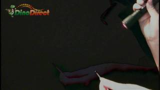 High Quality 200Mw 650Nm Red Laser Pointer