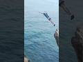 أخطر قفزة لشاب جزائري الصيف البحر المغرب الجزائر المغرب