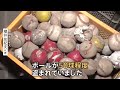 「犯人許せない」中学生野球チームのボール50球が盗まれる　短期間に2度の被害…犯行の瞬間をカメラがとらえた｜TBS NEWS DIG