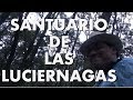 Santuario de las luciérnagas | Experiencia alucinante