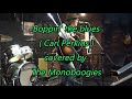 Boppin&#39; the blues ( Carl Perkins ) - The Monoboogies