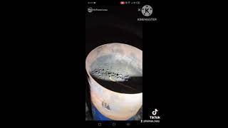 Real Penarikan Benda Pusaka Kiprana Lewu  Tiktokamazing