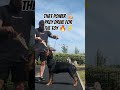 Rottweiler Power - Prey Drive Activated #dog #dogs #dogshorts #rottweiler #rottie #dogshow