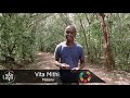 Vita Mithi - Malawi, Telemachus Mentoring Programme