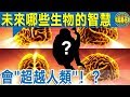 腦洞大開！未來哪些動物的智慧會“超越人類”？