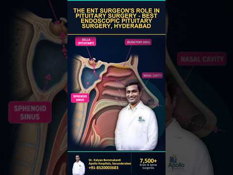 The ENT Surgeon's Role in Pituitary Surgery - Best Endoscopic Pituitary Surgery, Hyderabad