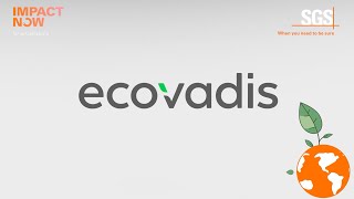 เบื้องหลังความสำเร็จขององค์กรยั่งยืน: เปิดโลก EcoVadis