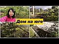 Домашние хлопоты. Тепло нужно ВСЕМ.  Высадила БРОККОЛИ.  ДОМ НА ЮГЕ