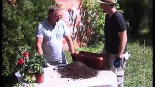 Un potager sur son balcon