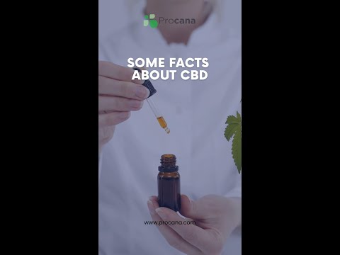 The Promise of CBD for Pain: Why We Start with Hope