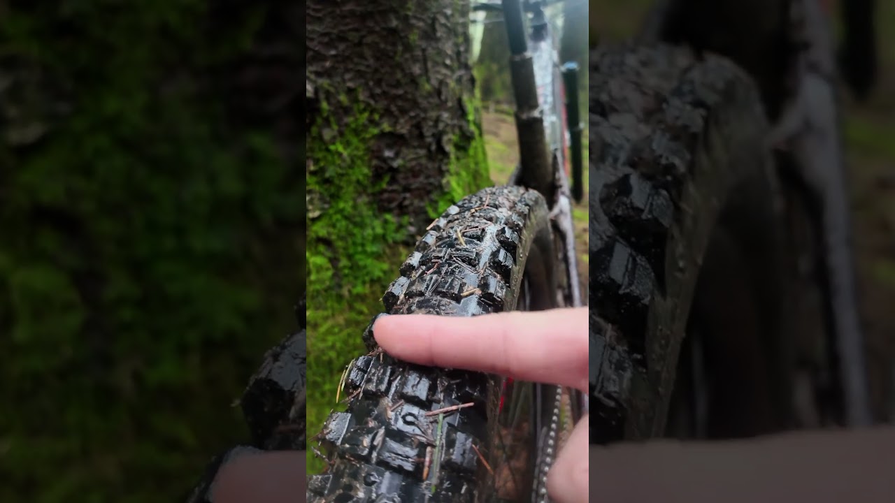 WTB Judge - The Ultimate Rear E-MTB Tire 🤌 