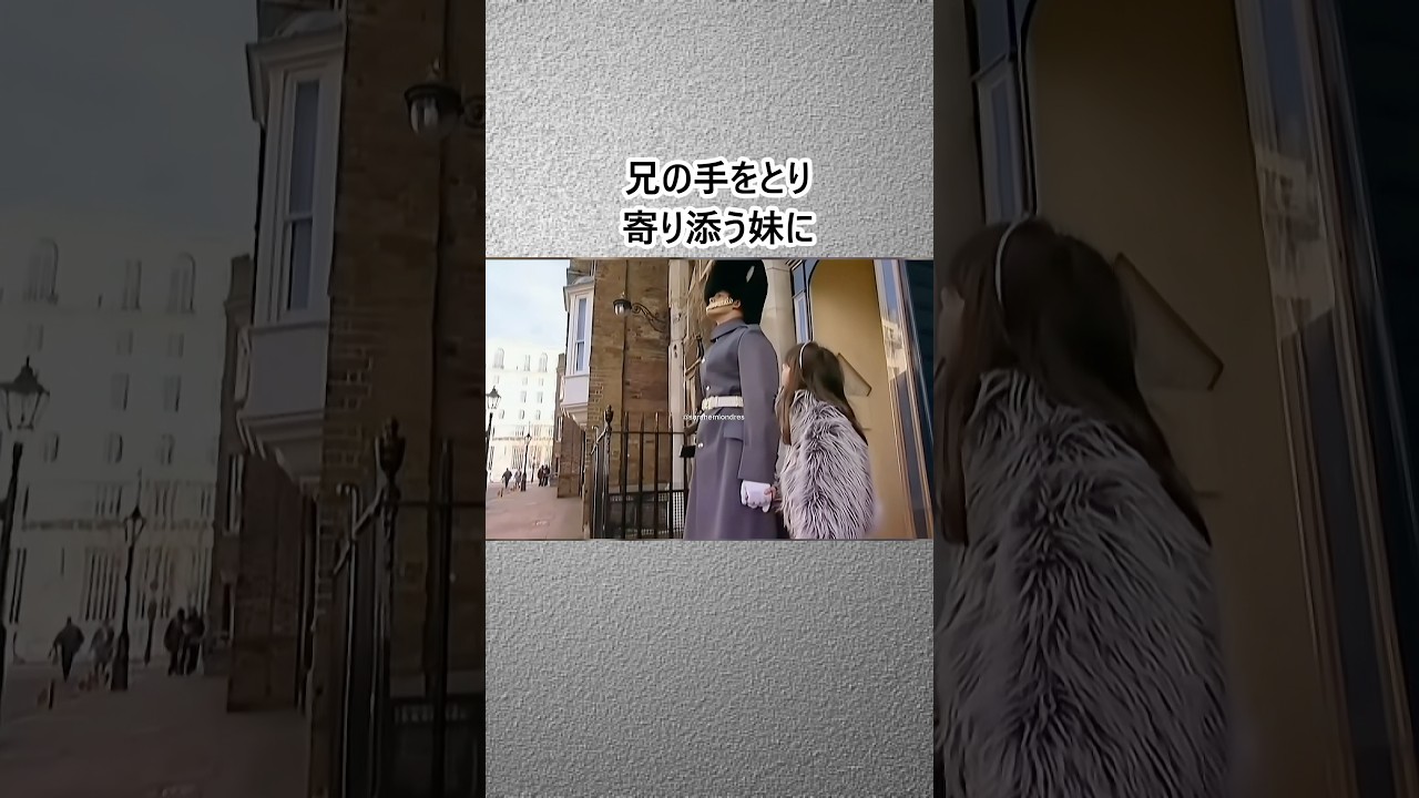妹が久しぶりに兄の近衛兵に会う#shorts #imperialguard #respect #sister #近衞兵 #妹