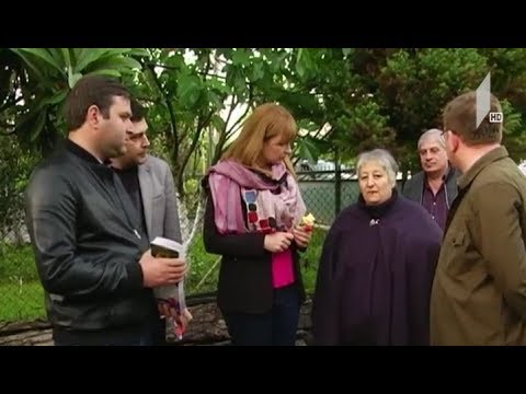 სანდრა რულოვსი წინასაარჩევნო კამპანიას განაგრძობს