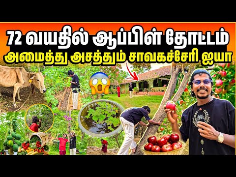 யாழ்ப்பாணத்தில் ஆப்பிள் தோட்டமா? 😱| 72 வயது ஐயாவின் பல வருட உழைப்பு 😍| Chavakachcheri | Rj with Kj 