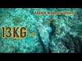 【魚突き】アカマダラハタ13kg