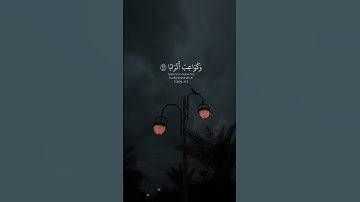 القارئ أحمد الحمادي || سورة النبأ.