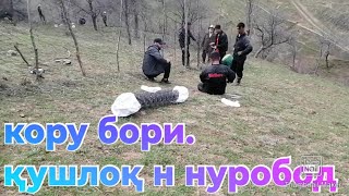 картинка: пешрав дар Н НУРОБОД к пандочи кору бори деҳаа