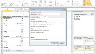 Famous Drilling Down and basic Pivot Table formatting in Excel 2010 Profile