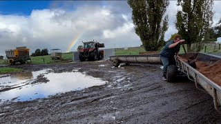 Too Windy To Chop Maize