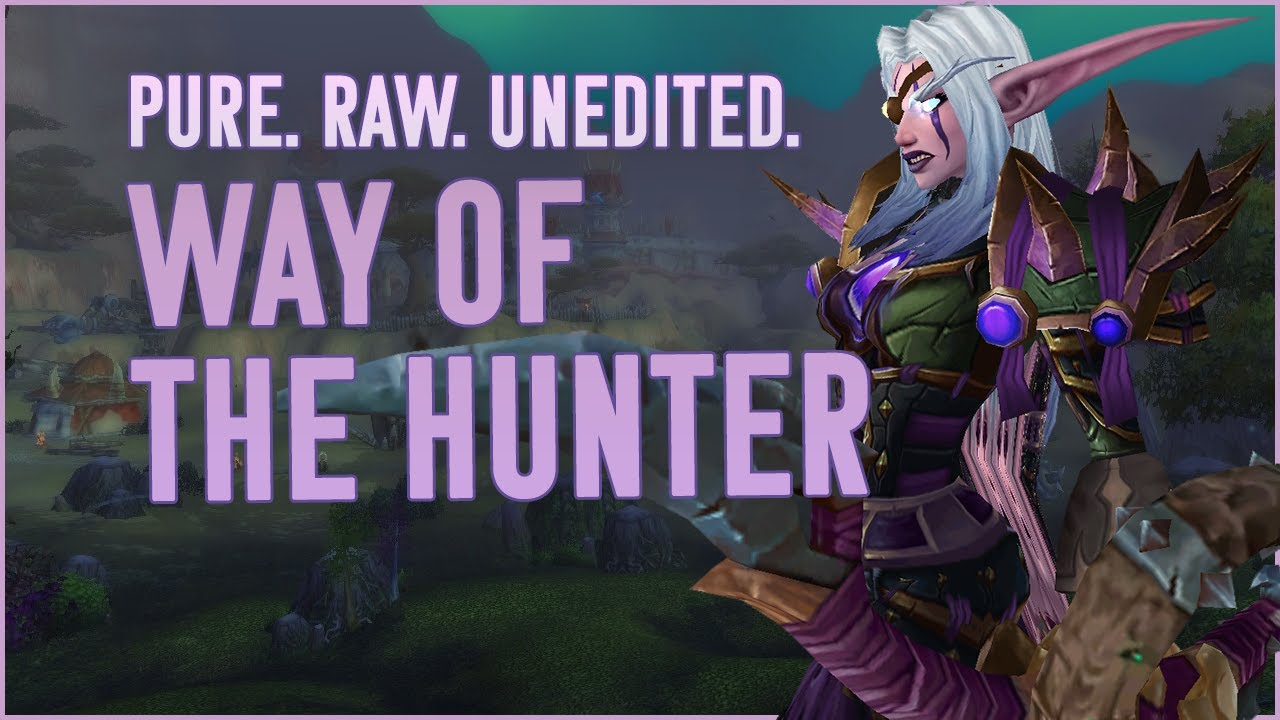 THE WAY - MM Hunter WoW PvP (BFA 8.2.5)