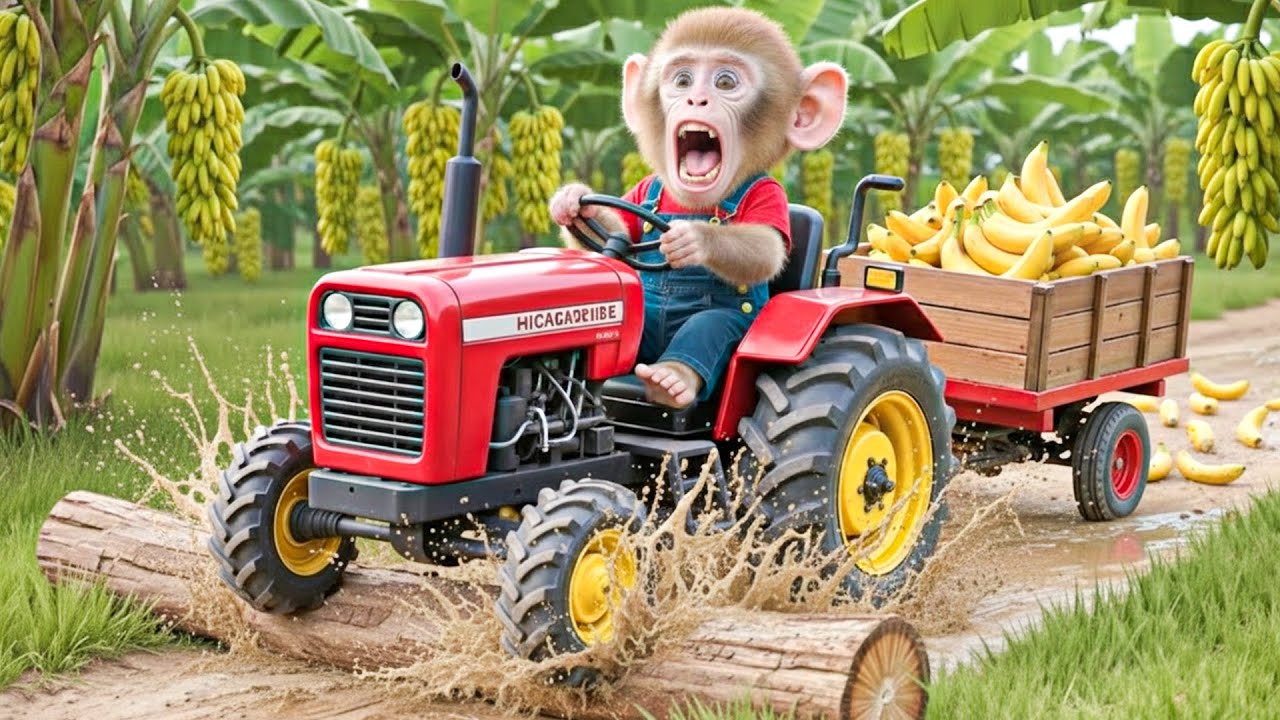 🐒🍌 Monkey Bon Bon’s Banana Harvest Turns CHAOTIC — But His Genius Move Saves the Day! 😱✨