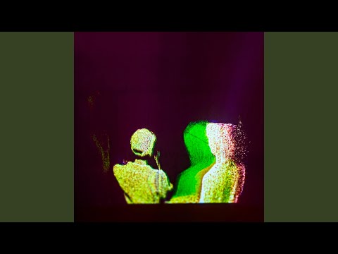 Somebody Else
