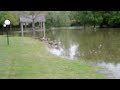 Cedarbrook picnic area underwater