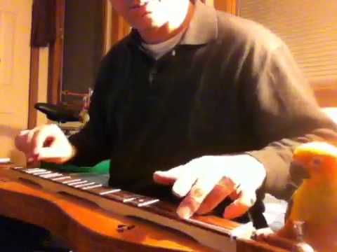 Bold Riley - fretted dulcimer