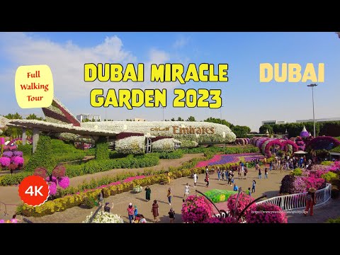 Miracle Garden Dubai 2023 || The world’s largest natural flower garden || Walking in Dubai 4K