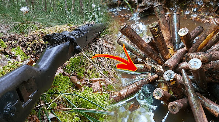 The Germans dumped THIS in the Swamp at Wars End?!