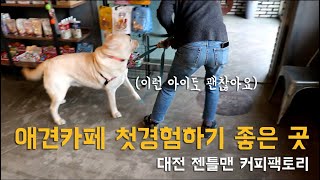 커피팩토리 대전점 영상